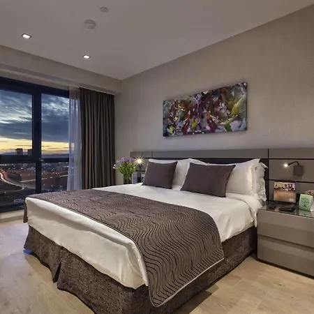 伊斯坦布尔安塔西亚辉盛坊国际公寓 公寓式酒店